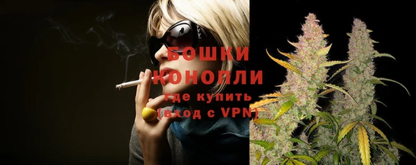 стаф Белоозёрский