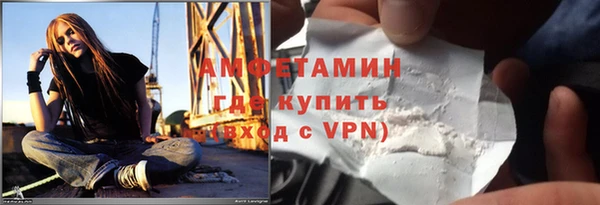 шишки Беломорск