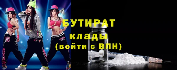 шишки Беломорск