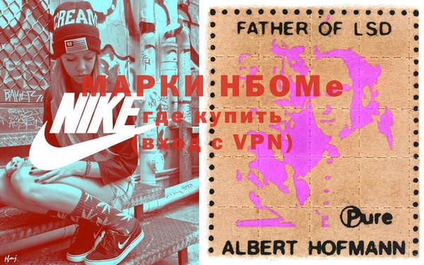 шишки Беломорск