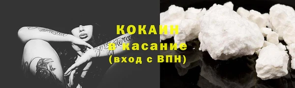 шишки Беломорск