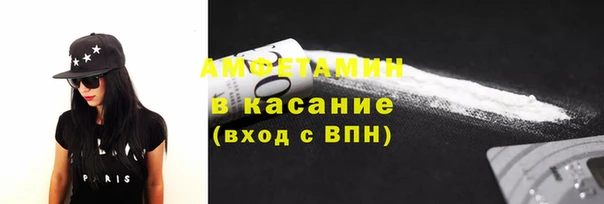 шишки Беломорск