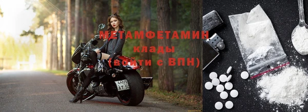 шишки Беломорск