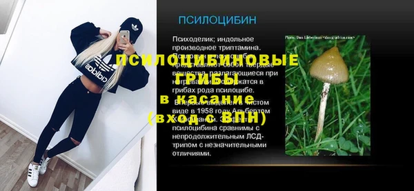 стаф Белоозёрский