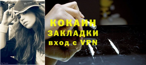 шишки Беломорск